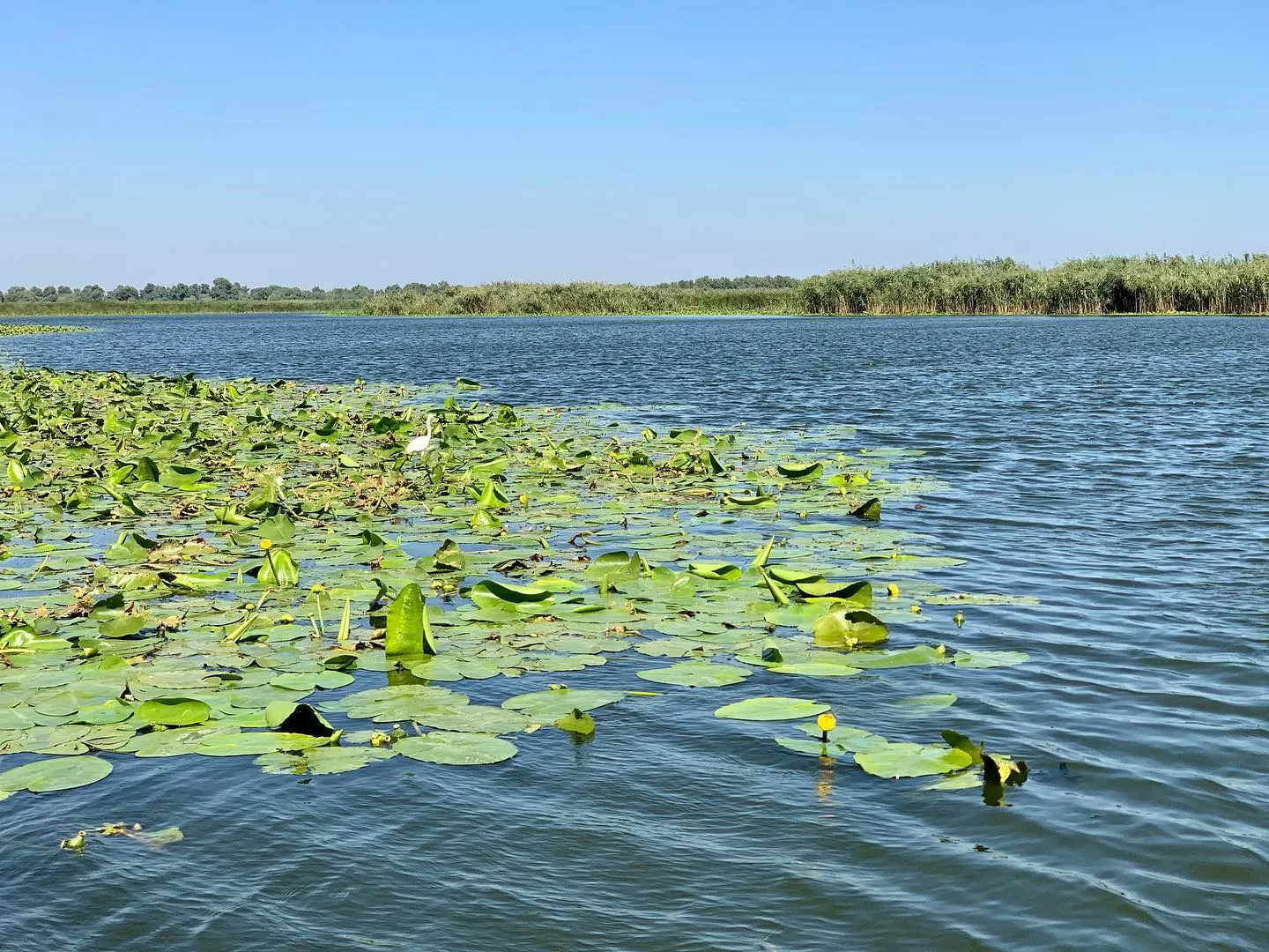 Sarbatori de Pasti 2025 Delta Dunarii Baltenii de Sus RESORT WELS