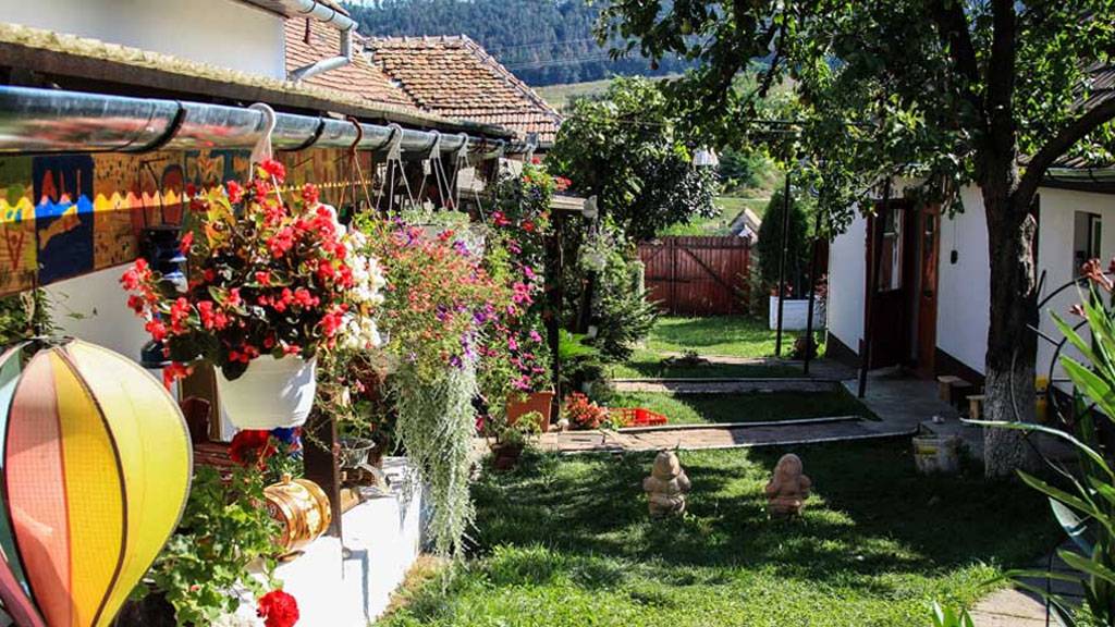 Tratament Balnear 2025 Bazna Pensiunea Bassen