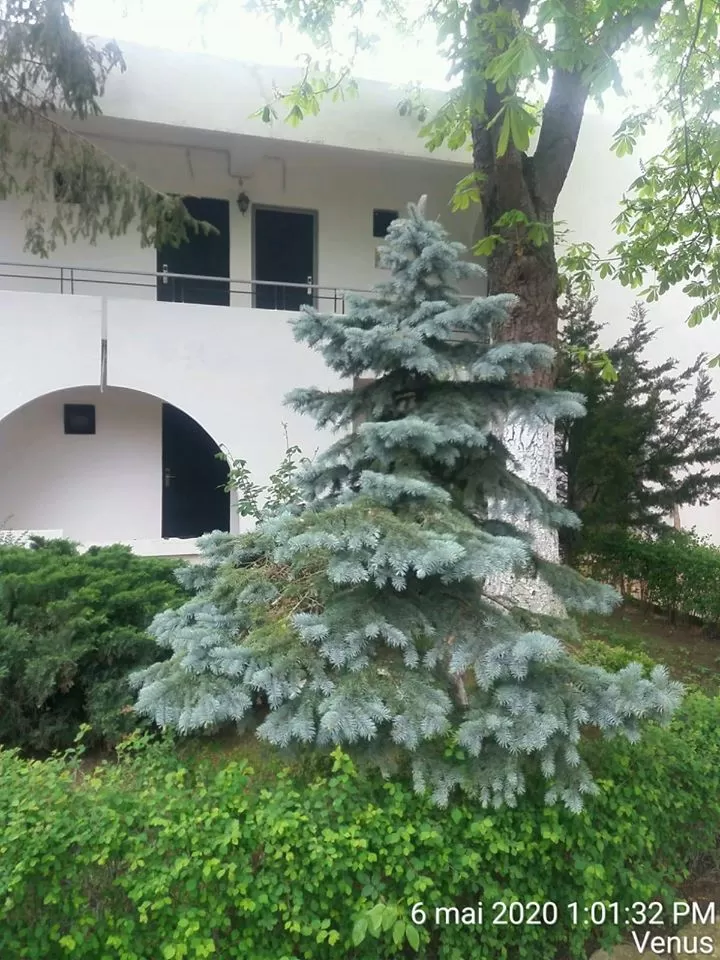 Litoral 2022 Venus Hotel Iulia Resort***