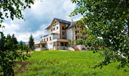 Vacanta 2023 in Bucovina Dorna Arini Domeniul Dornei**** 