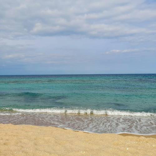 Seniori 50 Plus 2023 Jupiter Complex Hotelier Majestic***
