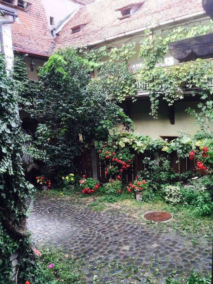 Cazare 2022 Sighisoara Fronius Residence*****