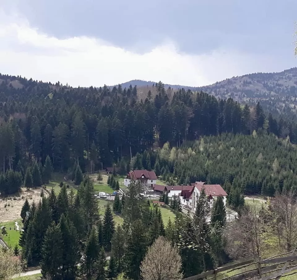 Halloween 2023 in Bucovina Manastirea Humorului Hotel Floare de Colt***
