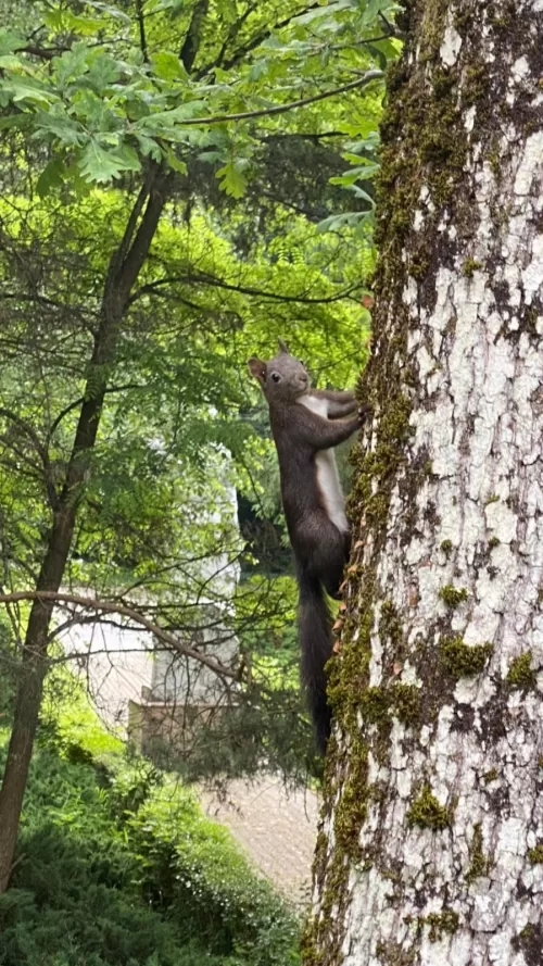 Sejur Odihna 2026 Baile Govora Hotel Parc