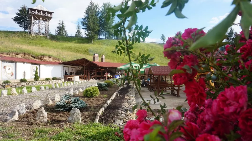Vacanta in Bucovina Sadova Pensiunea Steaua Nordului***