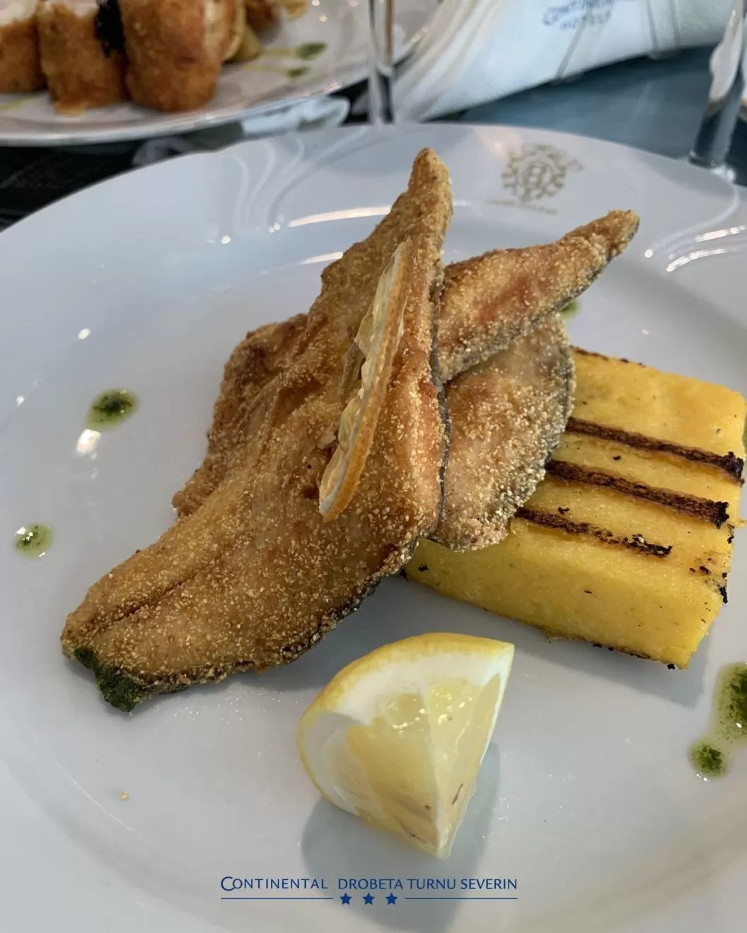 Revelion 2026 Ani de Liceu Drobeta Turnu Severin Hotel Continental Drobeta Turnu Severin