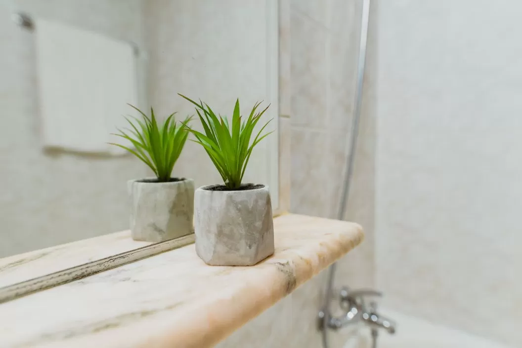 Litoral 2026 Eforie Nord Hotel Carmen