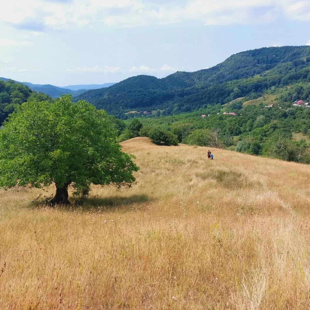 Vacanta la Alunis Colti Plaiul Alunisului