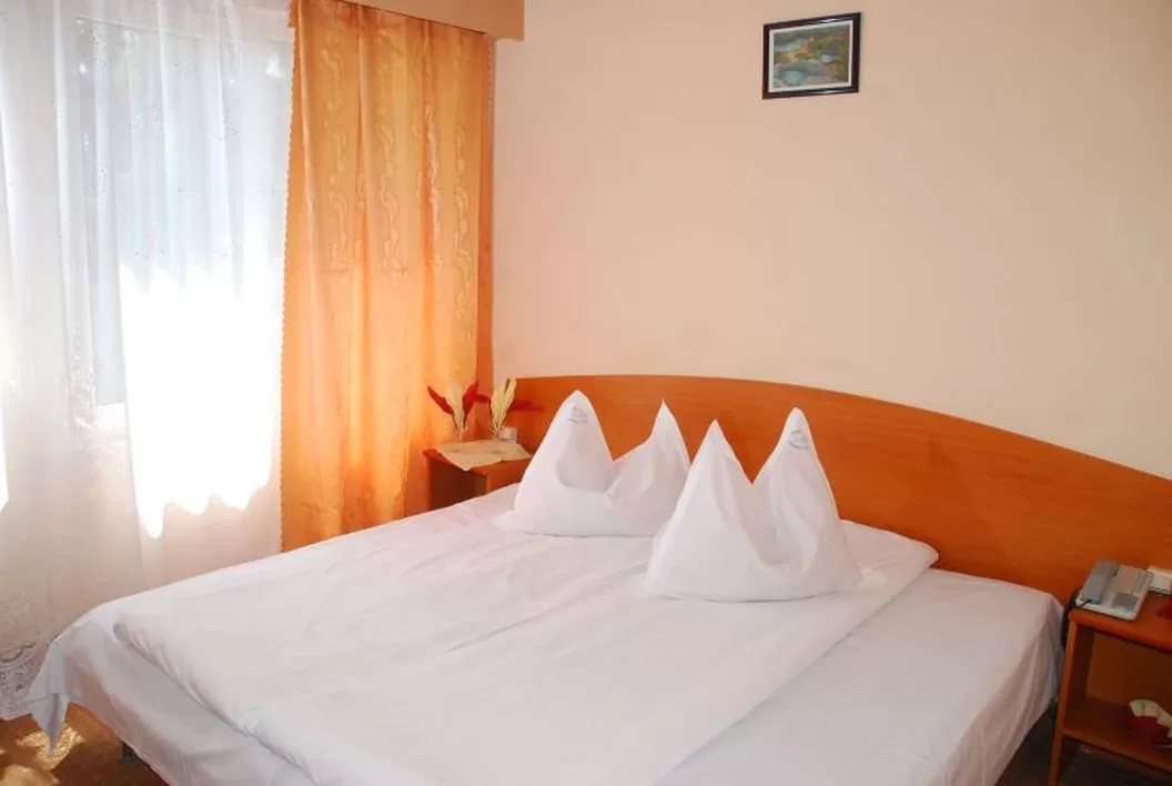 Tratament Balnear 2024 Slanic Prahova Hotel Slanic