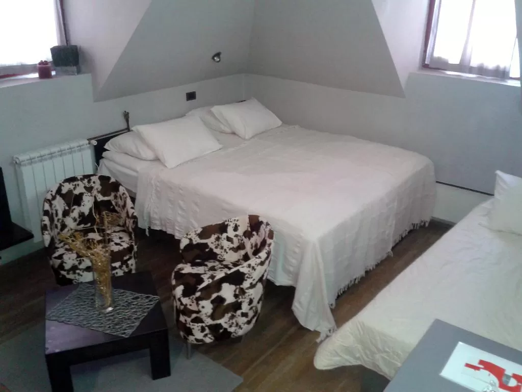 Sejur Ski 2020 Brzece Hotel Ozon*** 