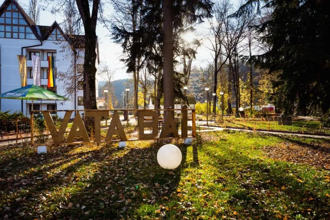 Vata Detox 2026 Complexul Balneo Termal Vata Bai Hotel Phoenix