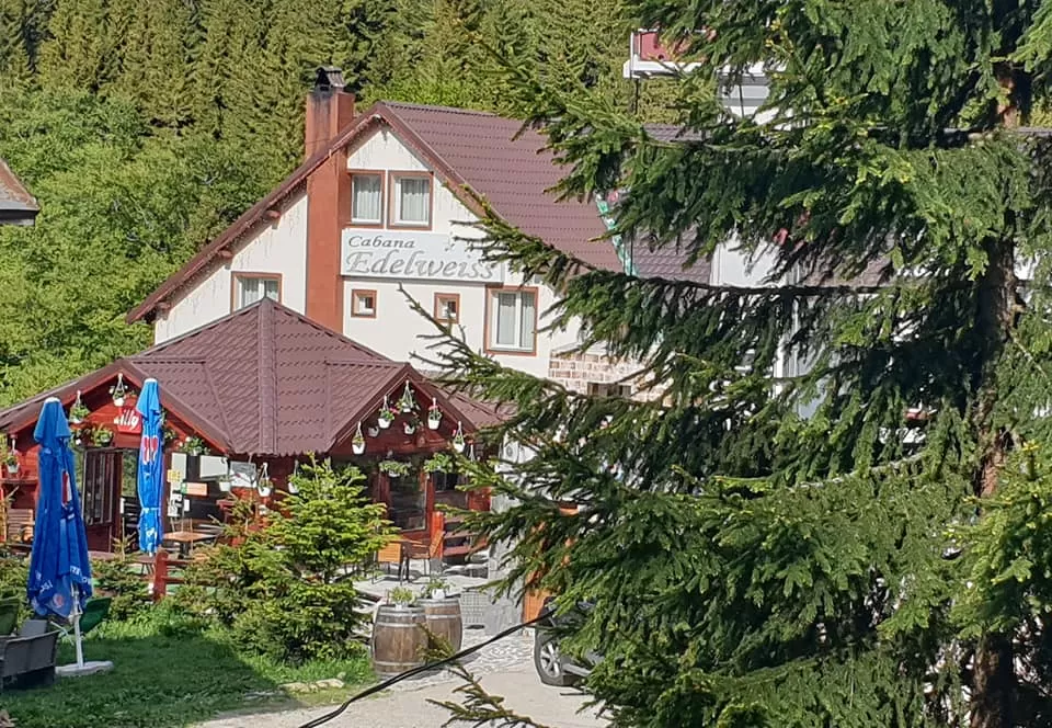 Revelion 2025 la Schi in Straja Cabana Edelweiss
