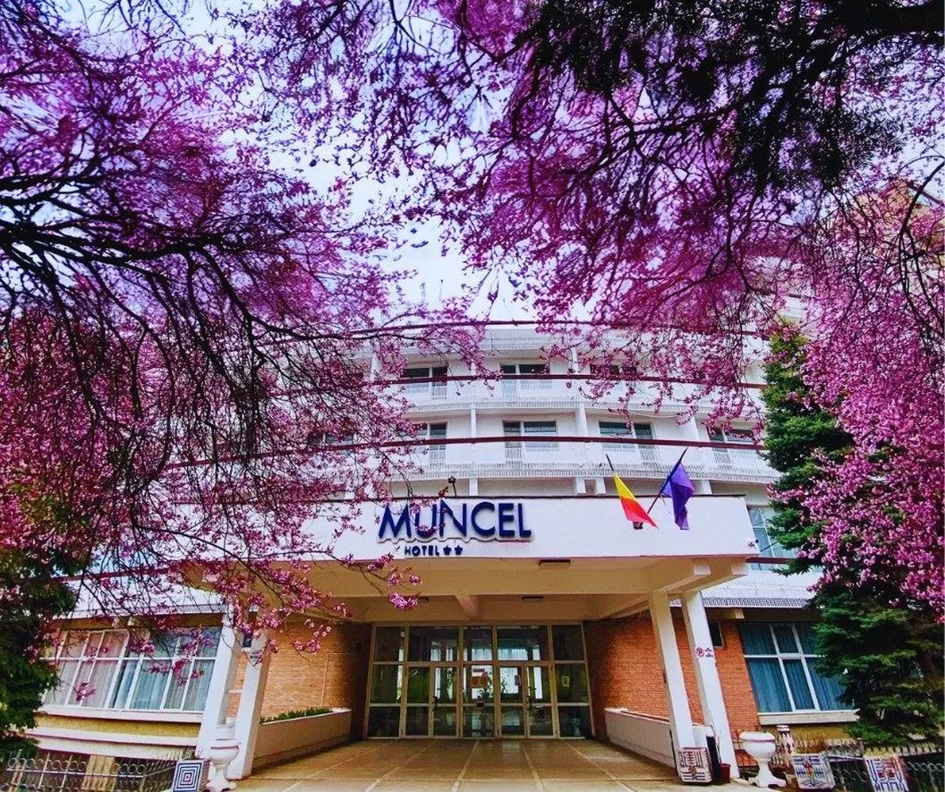 Sejur Odihna 2026 Baile Felix Hotel Muncel