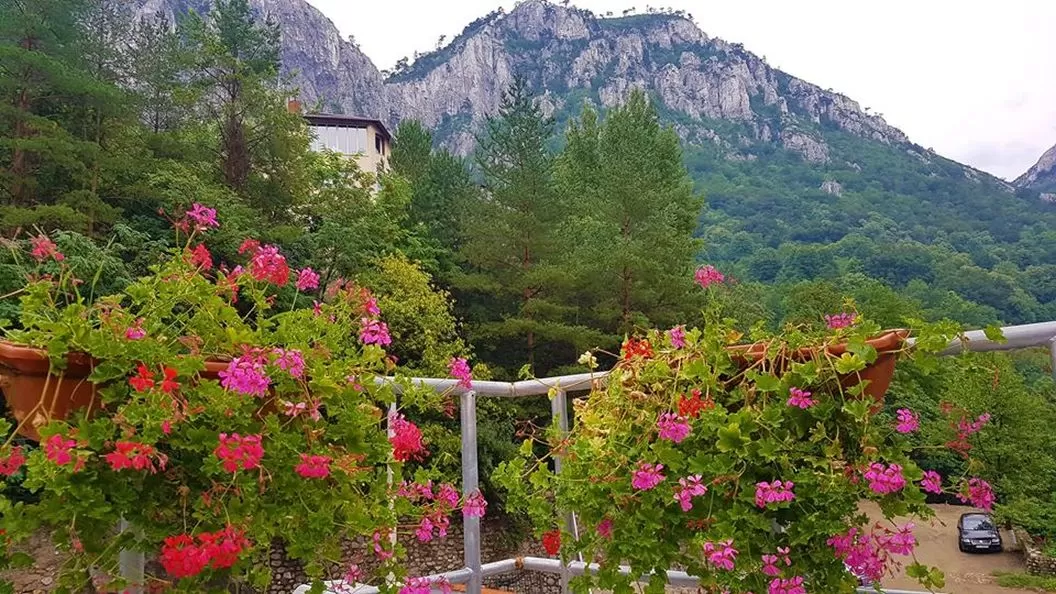 Rusalii 2025 in Baile Herculane Grand Hotel Minerva Resort SPA**** 