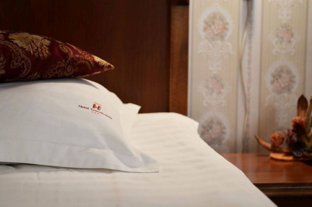 Cazare 2025 Cluj Napoca Hotel Transilvania*** 
