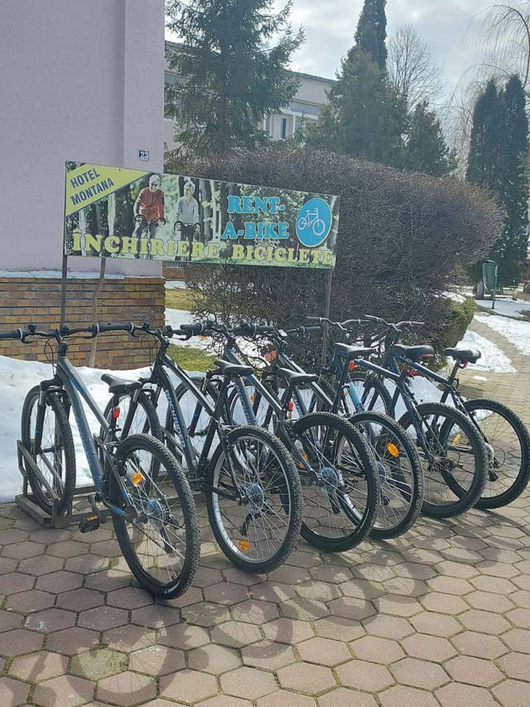 Sejur Odihna 2023 Covasna Hotel Montana***
