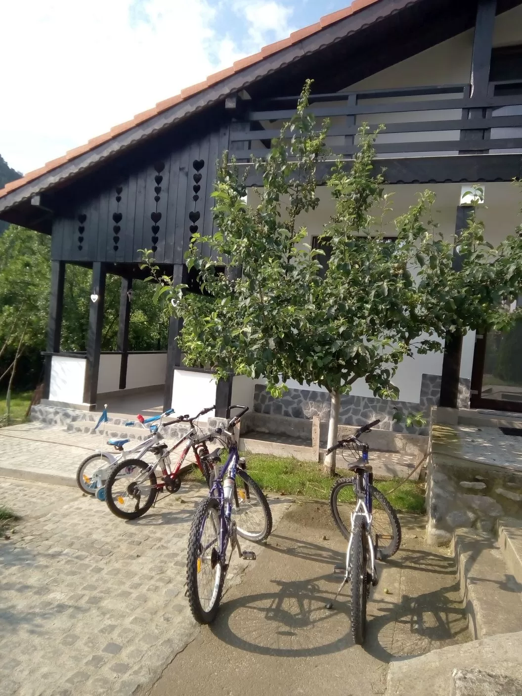 Sejur odihna 2020 Baile Herculane Pensiunea Casa Natura*** 