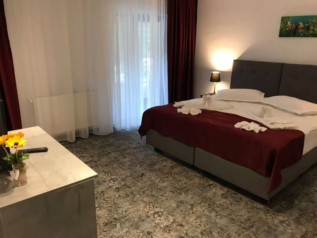 Pachet Tratament Complet 2025 Baile Olanesti Hotel Parang