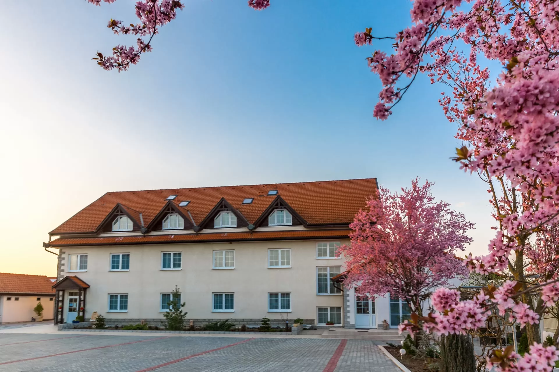 Cazare 2024 in Sighisoara Albesti Hotel Europa