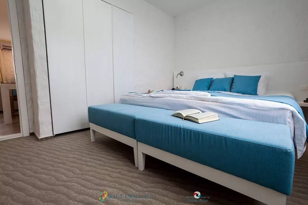 Cazare 2021 Cluj Napoca Apart Hotel Gutinului***