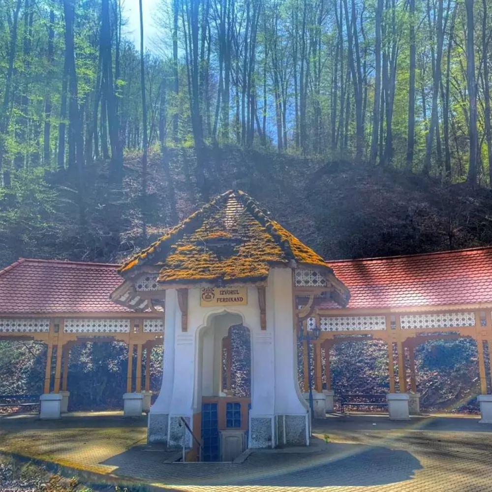 Sa descoperim statiunile cu ape minerale curative din judetul Valcea, benefice pentru sanatate