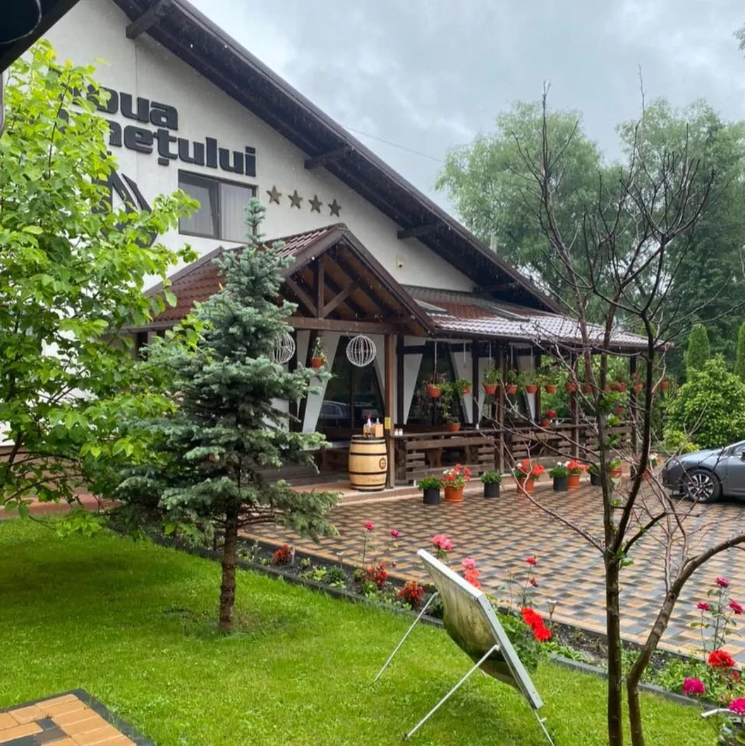 Revelion 2024 in Bucovina Pensiunea Roua Voronetului****