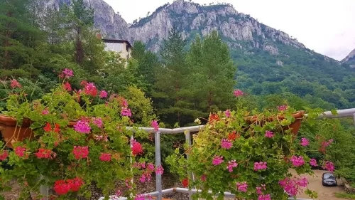 Rusalii 2025 in Baile Herculane Grand Hotel Minerva Resort SPA**** 