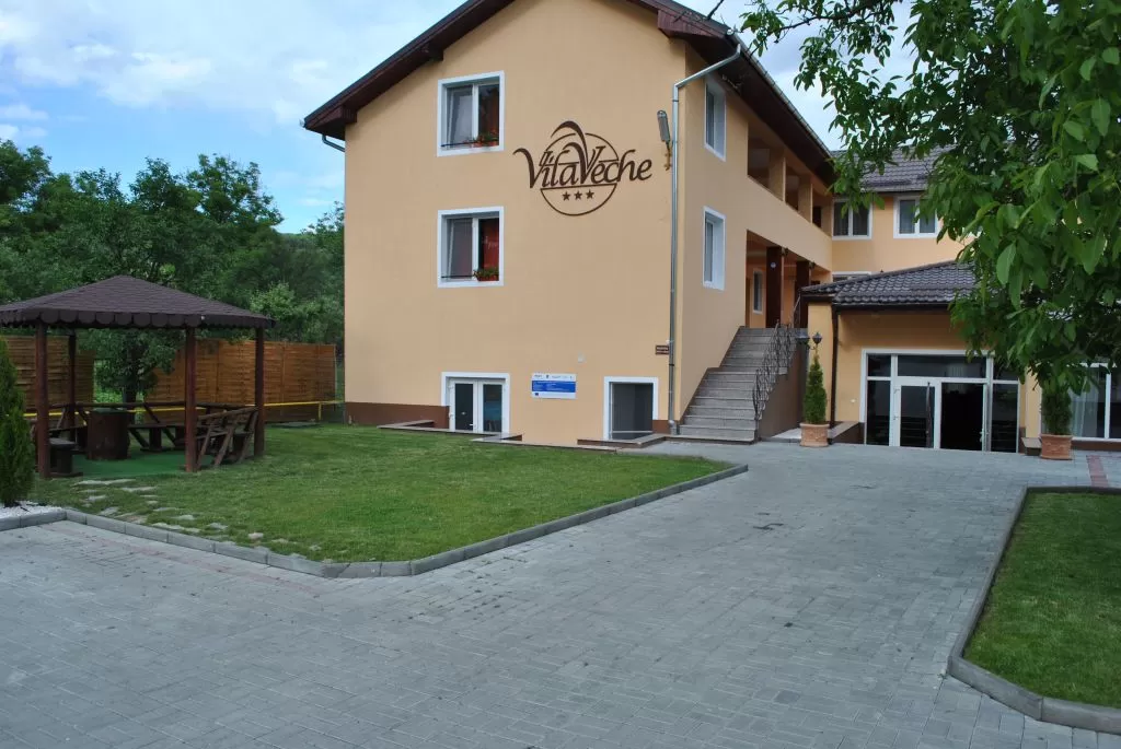 Sejur Hateg Pensiunea Vila Veche