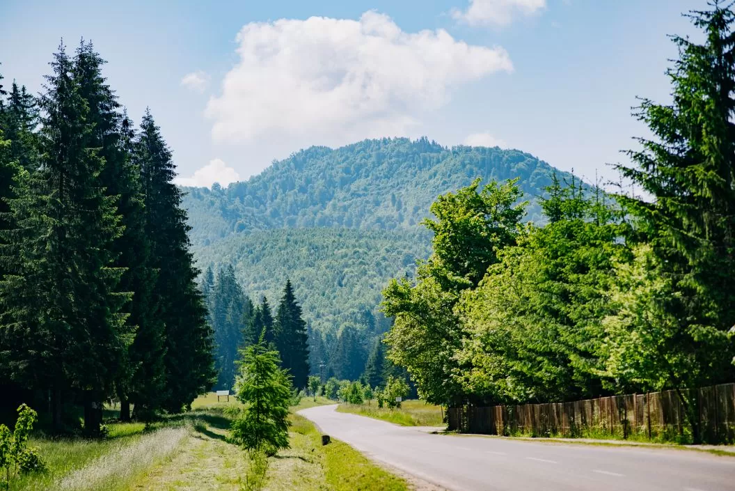 Sarbatori de Pasti 2024 Covasna Camping Valea Zanelor