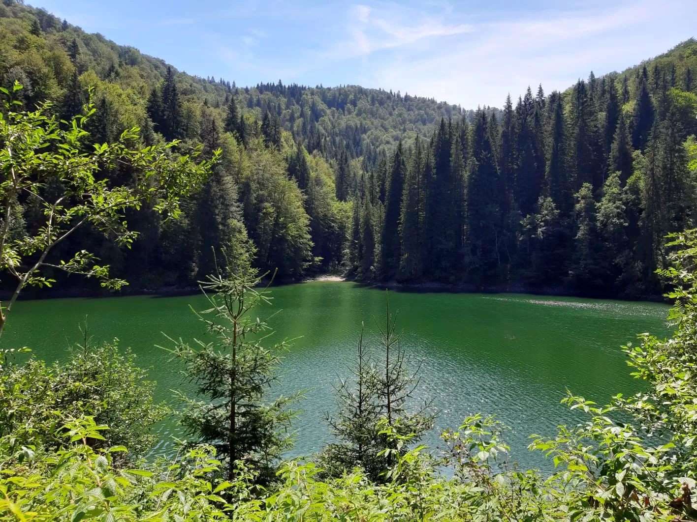 Drumetie Cheile Zanoagei & Lacul Scropoasa & Cascada 7 Izvoare