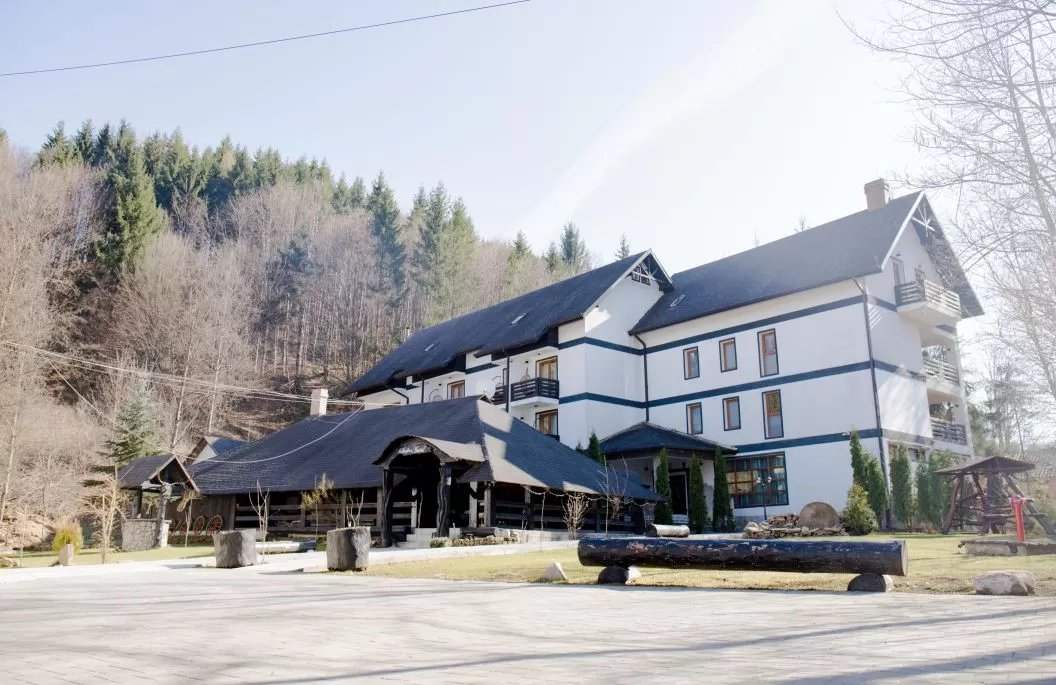 Revelion 2022 in Bucovina Sucevita Casa Octavian*** 
