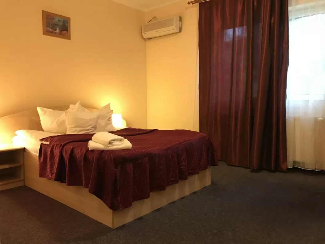 Cazare Satu Mare Hotel Cardinal***