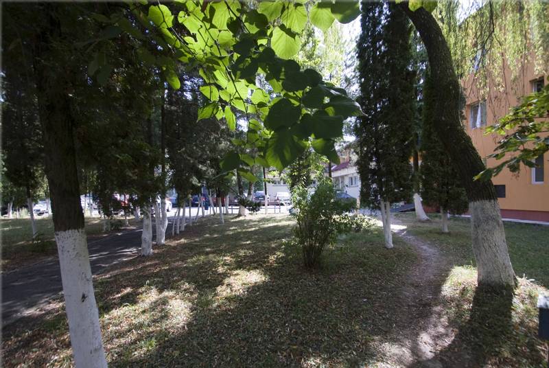 Sejur Tratament Balnear 2020 Ocna Sugatag Hotel Craiasca