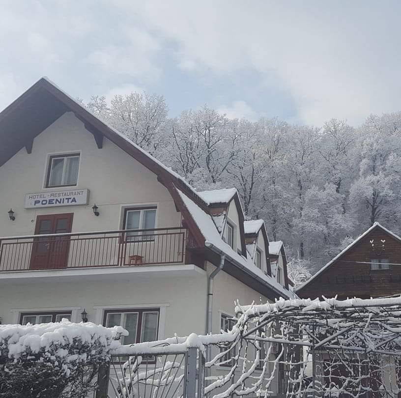 Cazare 2023 Sighisoara Hotel Poenita***
