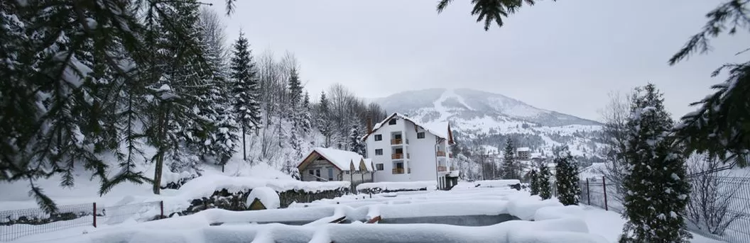 Revelion 2025 Maramures Borsa Hotel Paltinis