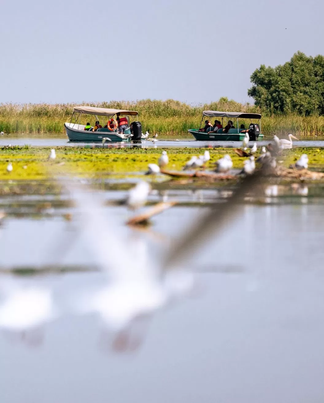 Sarbatori de Pasti 2024 Delta Dunarii Pensiunea Orizont Mahmudia Resort