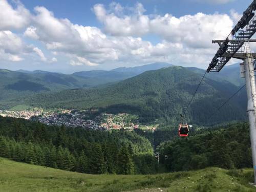 Cazare la Munte 2023 Azuga Pensiunea Flora Alpina****