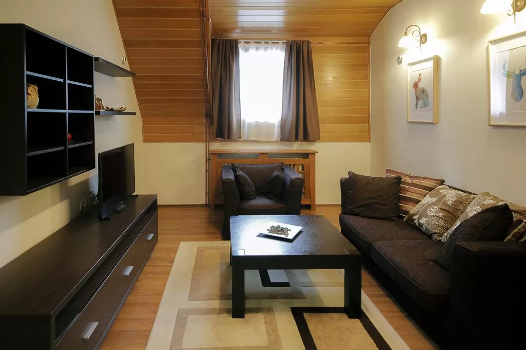 Sejur Ski 2021 -2022 Brzece Serbia Hotel JUNIOR