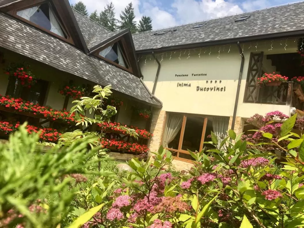 Sejur odihna Bucovina Frasin Pensiunea Inima Bucovinei****