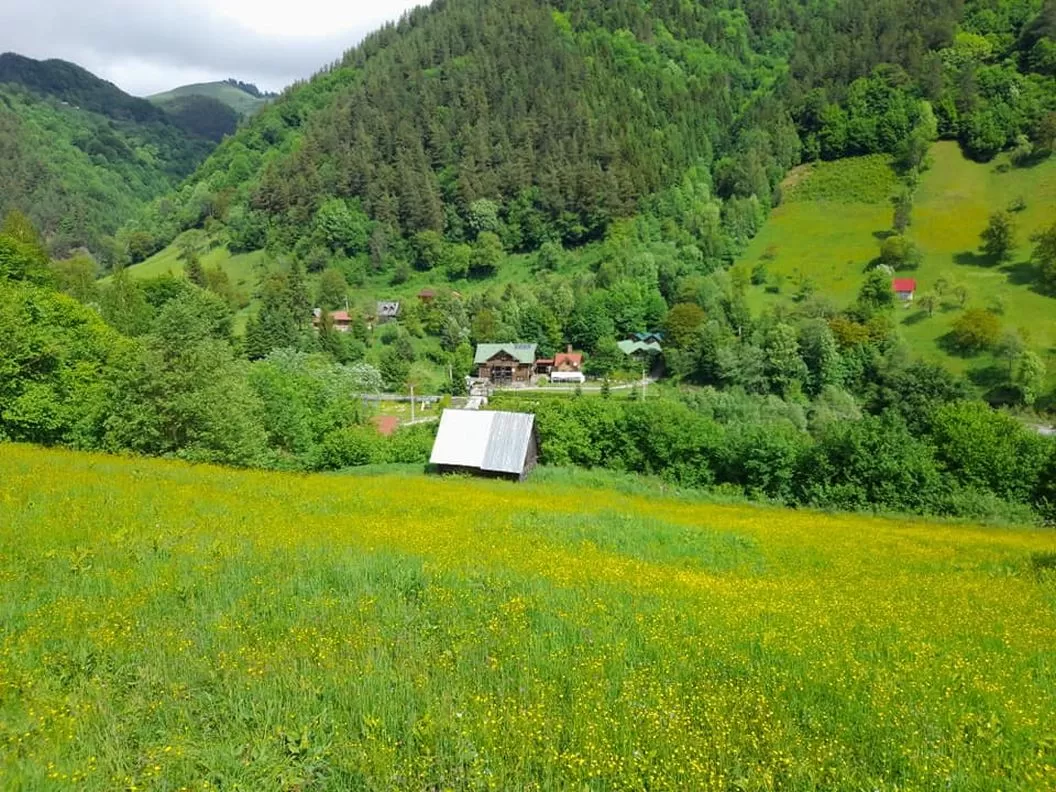 Craciun All Inclusive Traditional la Munte 2025 Marginimea Sibiului Rau Sadului Complex Turistic Nora