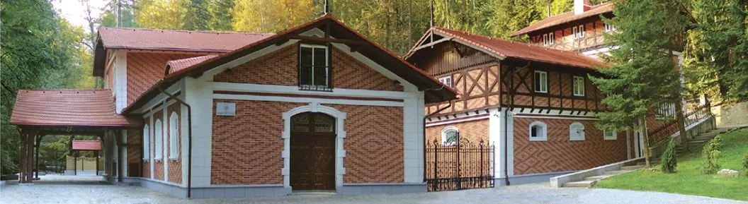 Revelion 2021 in Sinaia – Hotel Bastion***