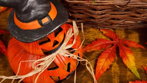 Halloween 2025 in Pestera-Padina Hotel Pestera Wellness SPA