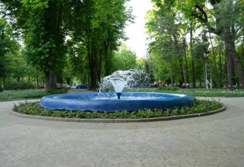 Sejur odihna 2023 Lacu Sarat Hotel Flora**