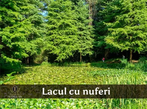 Sejur odihna 2025 Baile Olanesti Hotel Imperial SPA****