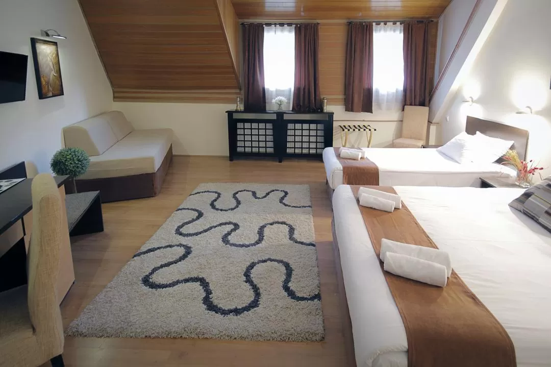 Sejur Ski 2021 -2022 Brzece Serbia Hotel JUNIOR