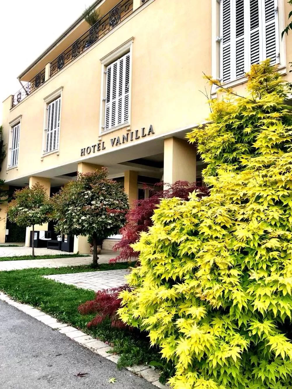 Cazare 2024 Timisoara Hotel Vanilla*** 