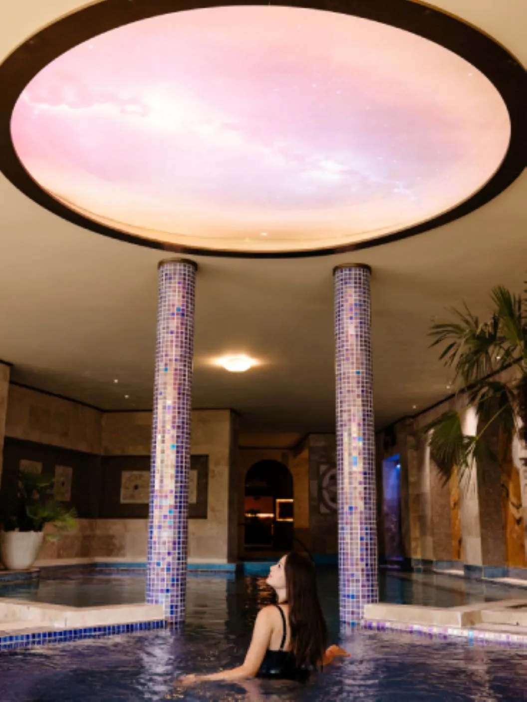 Vata Wellness 2026 Complexul Balneo Termal Vata Bai Hotel Phoenix