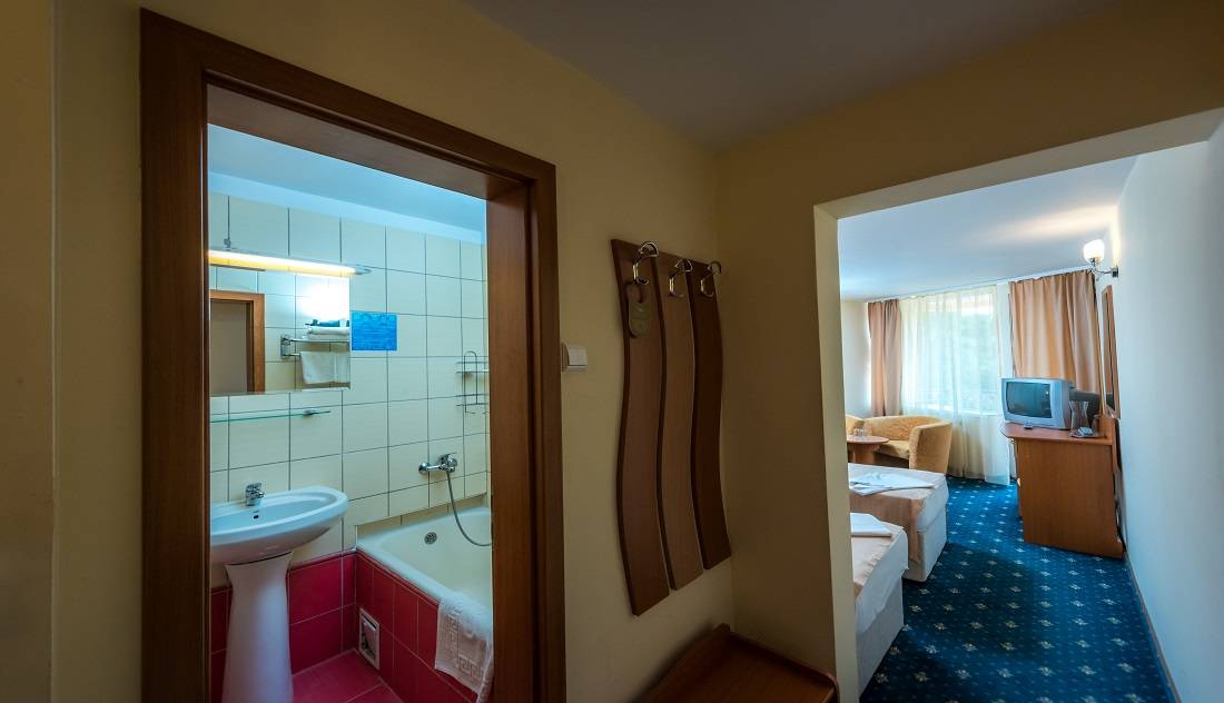 Vacanta pentru Relaxare 2025 Creeaza-ti propria vacanta Buzias Hotel Parc