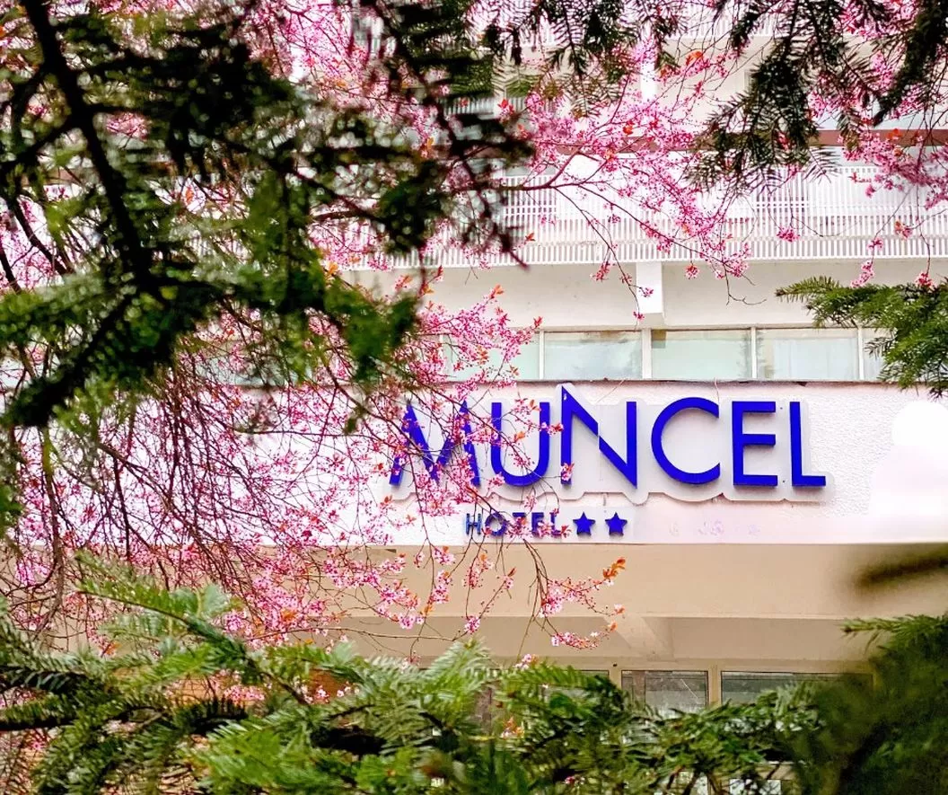 Sejur Odihna 2026 Baile Felix Hotel Muncel