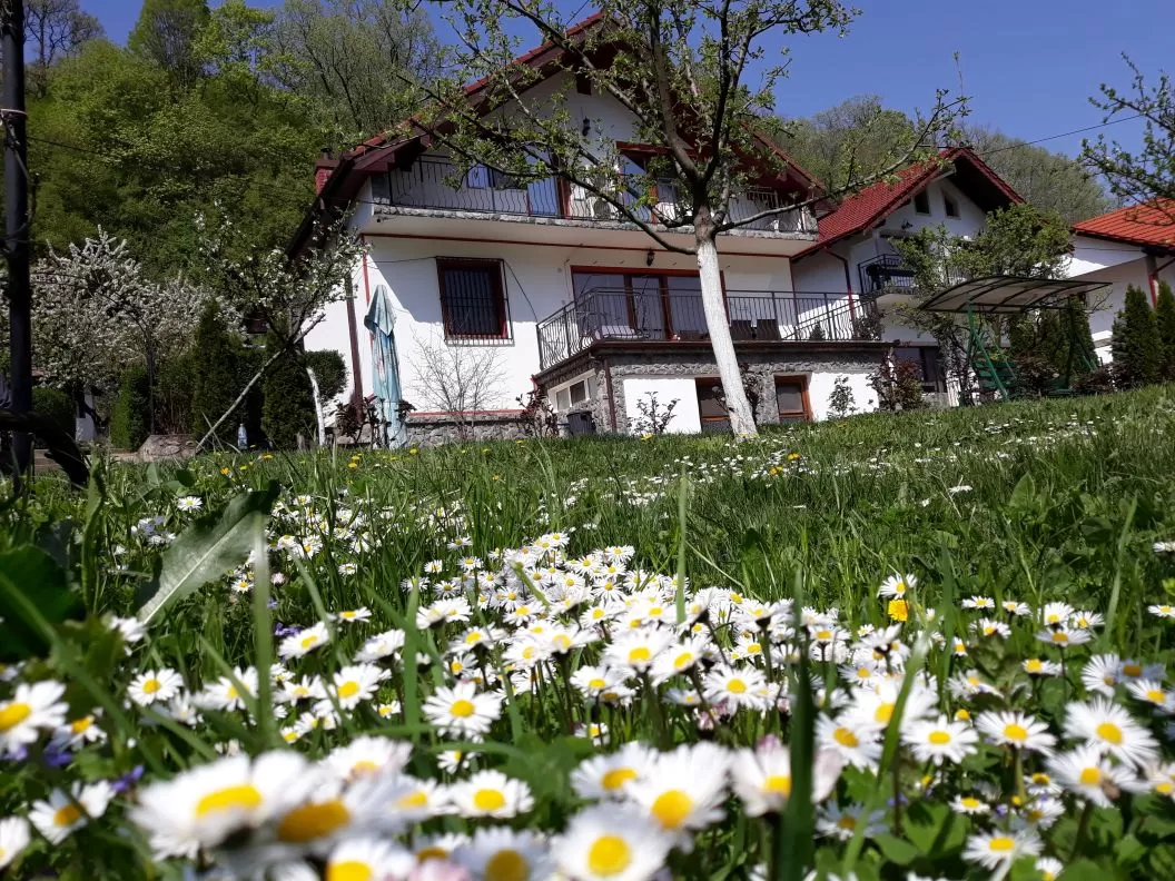 Sejur odihna 2020 Baile Herculane Pensiunea Casa Natura*** 